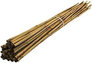 BAMBOO 8FT (24-26MM, HEIGHT: 240CM)