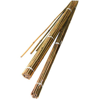 BAMBOO 7FT (14-16MM, HEIGHT: 210CM (7FT), COLOR NATURAL).